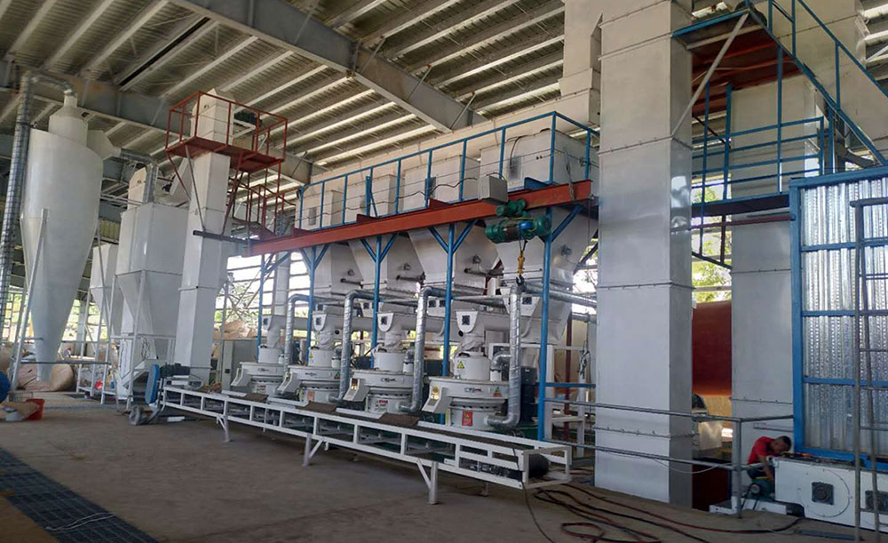 What is the Prospect of the Wood Pellet Plant