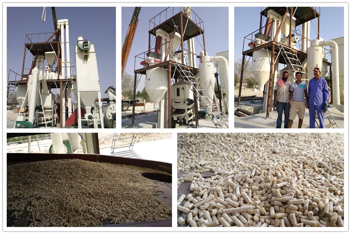 2-3t/h Línea de producción de pellets de alimentación en Qatar