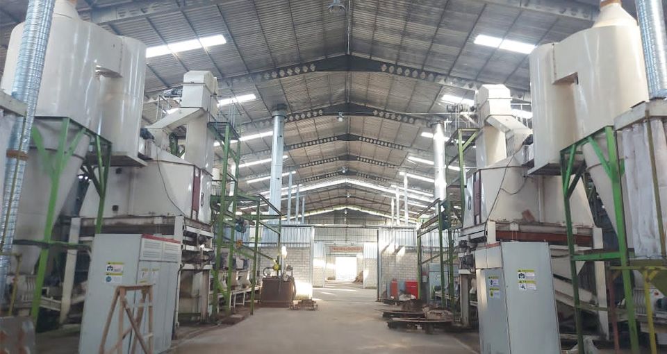 Línea de producción de pellets de madera de 20 t/h en Indonesia