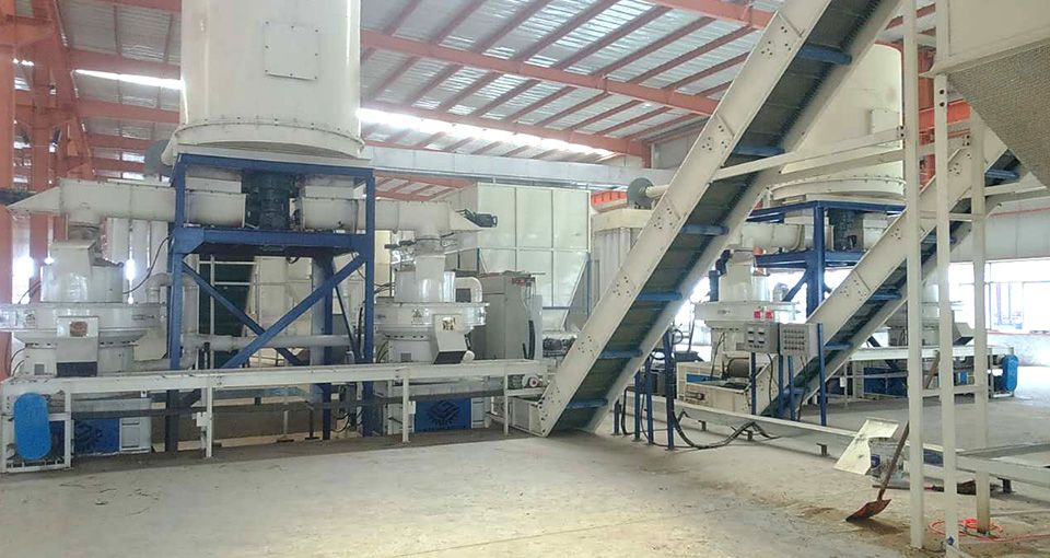Línea de producción de pellets de paja de 10 t/h en Anhui