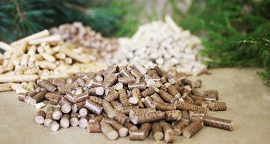 Characteristics of Biomass Energy Fuel