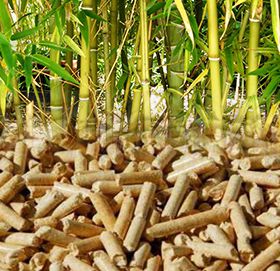 Fabricación de pellets de bambú